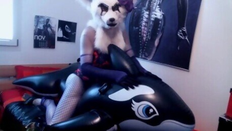 Kalya the furry girl humps her inflatable orca pool toy